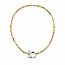Load image into Gallery viewer, Luxe Lock Chain Necklace
